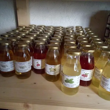 Κατάλυμα σε φάρμα Campo Luente *